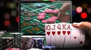wildbet