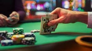 wildbet