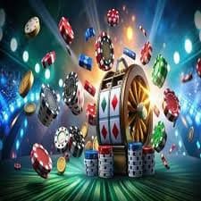 wildbet