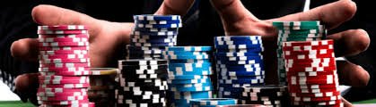 wildbet